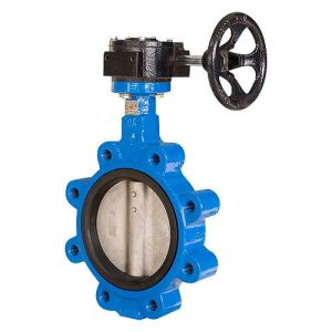 lug-type-butterfly-valve-500x500