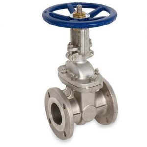 stainless-steel-gate-valves-500x500