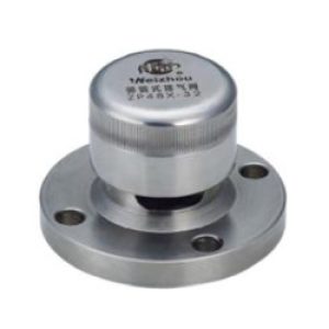 stainless-steel-spring-exhaust-valve